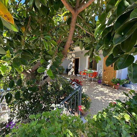 Albi'S Guesthouse คซามิล ภายนอก รูปภาพ