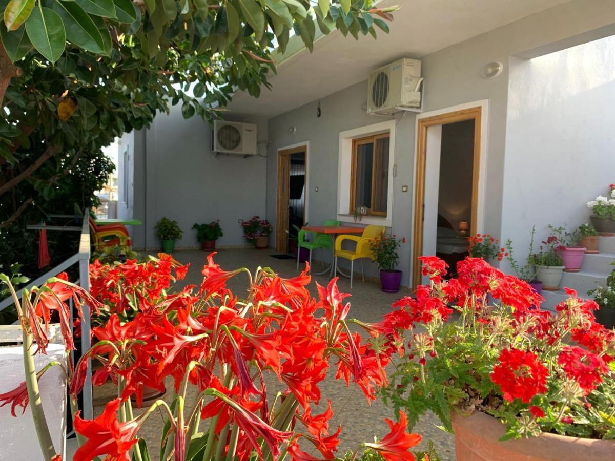 Albi'S Guesthouse คซามิล ภายนอก รูปภาพ