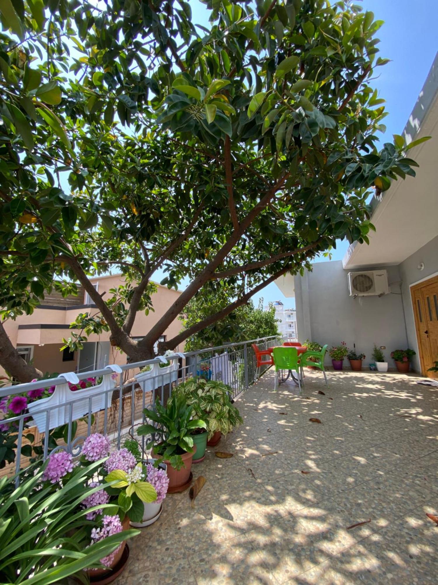 Albi'S Guesthouse คซามิล ภายนอก รูปภาพ