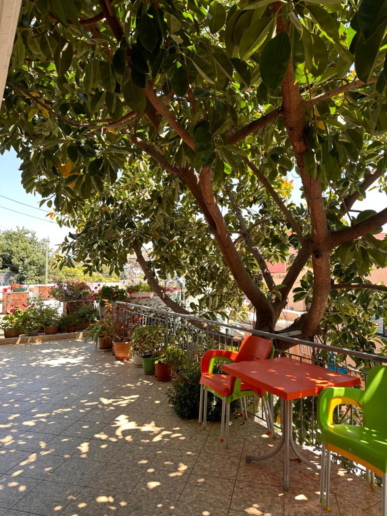 Albi'S Guesthouse คซามิล ภายนอก รูปภาพ