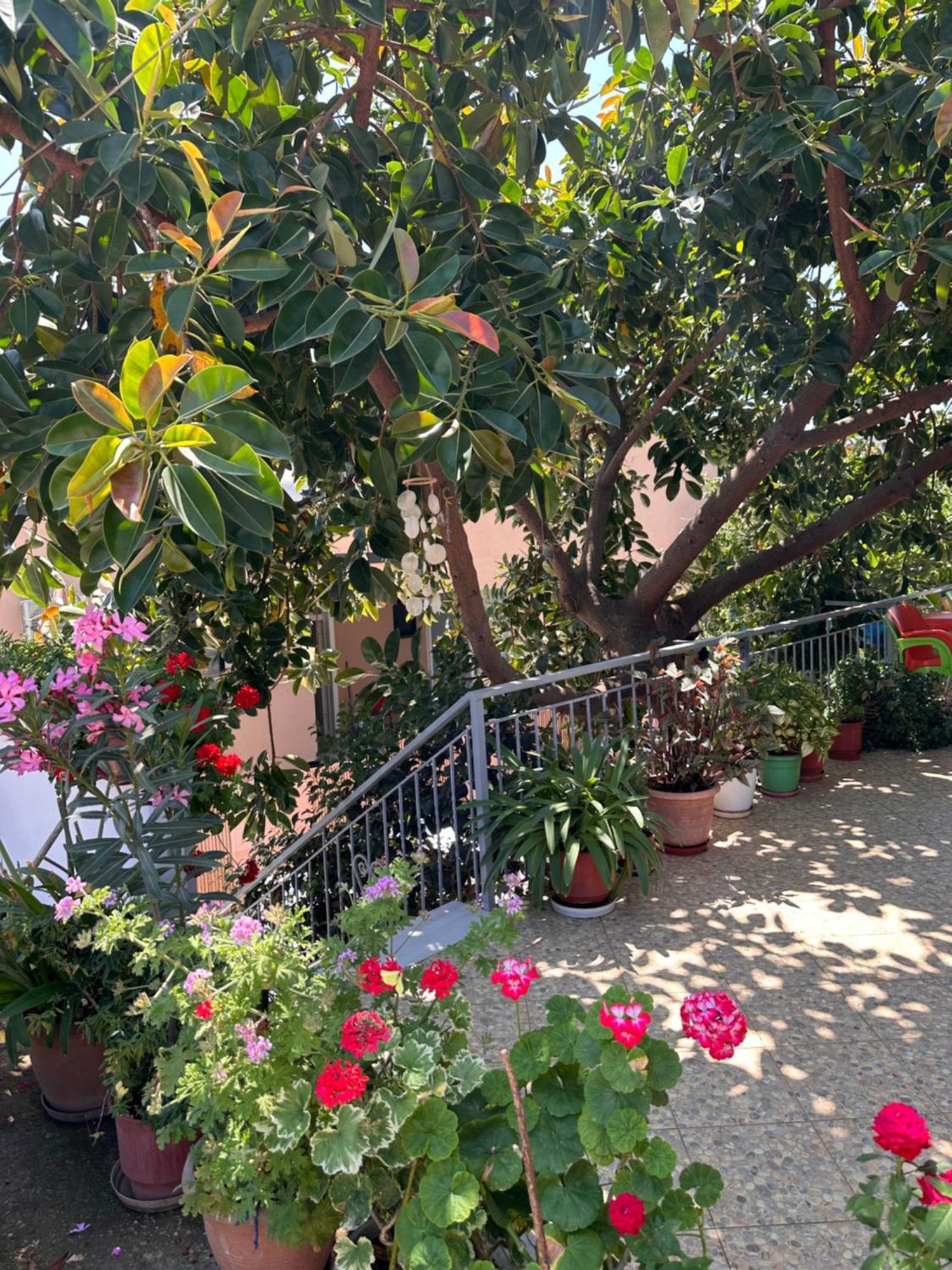 Albi'S Guesthouse คซามิล ภายนอก รูปภาพ