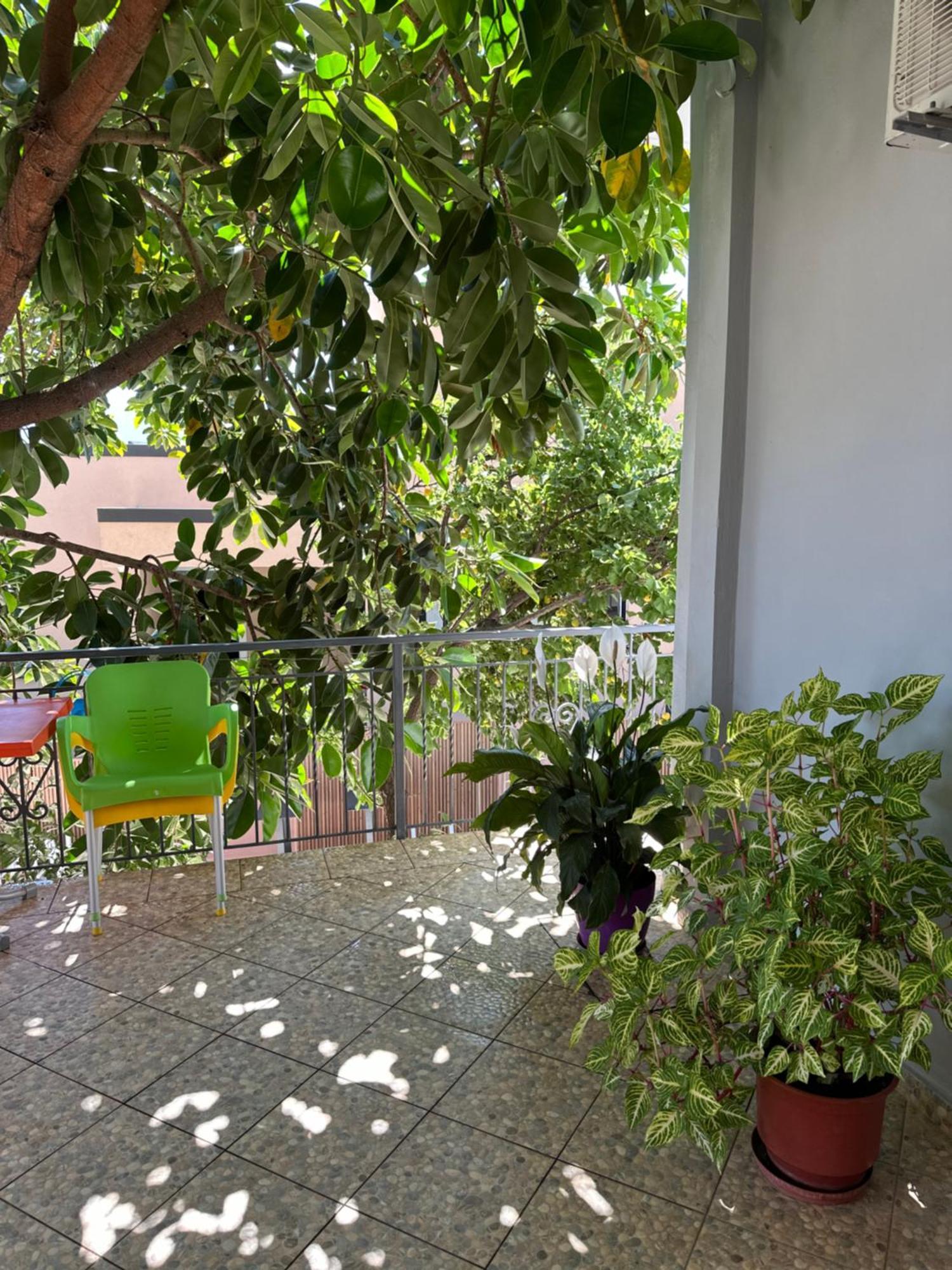 Albi'S Guesthouse คซามิล ภายนอก รูปภาพ